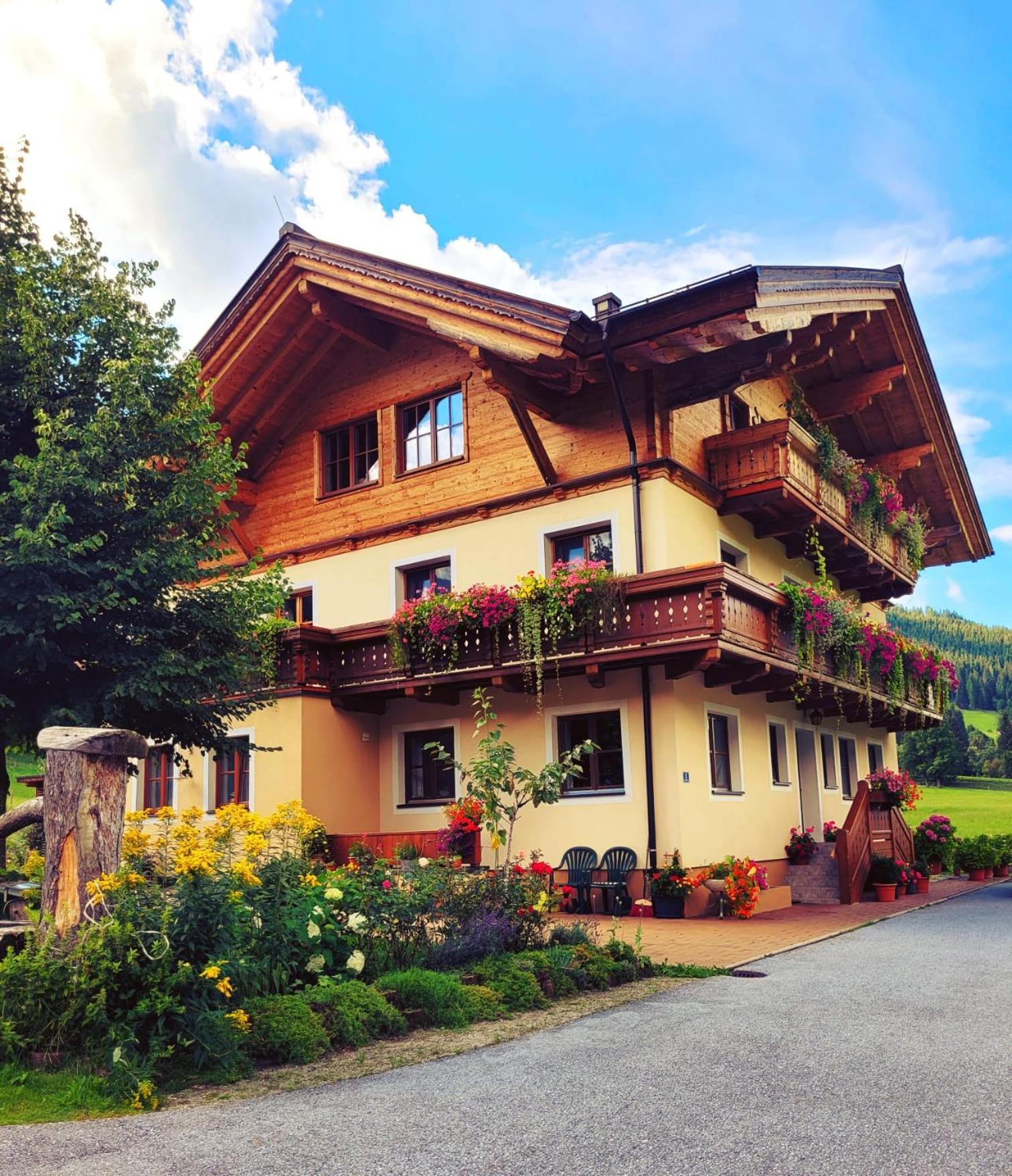 Arche Hof Oebristhof Apartman Kleinarl Kültér fotó